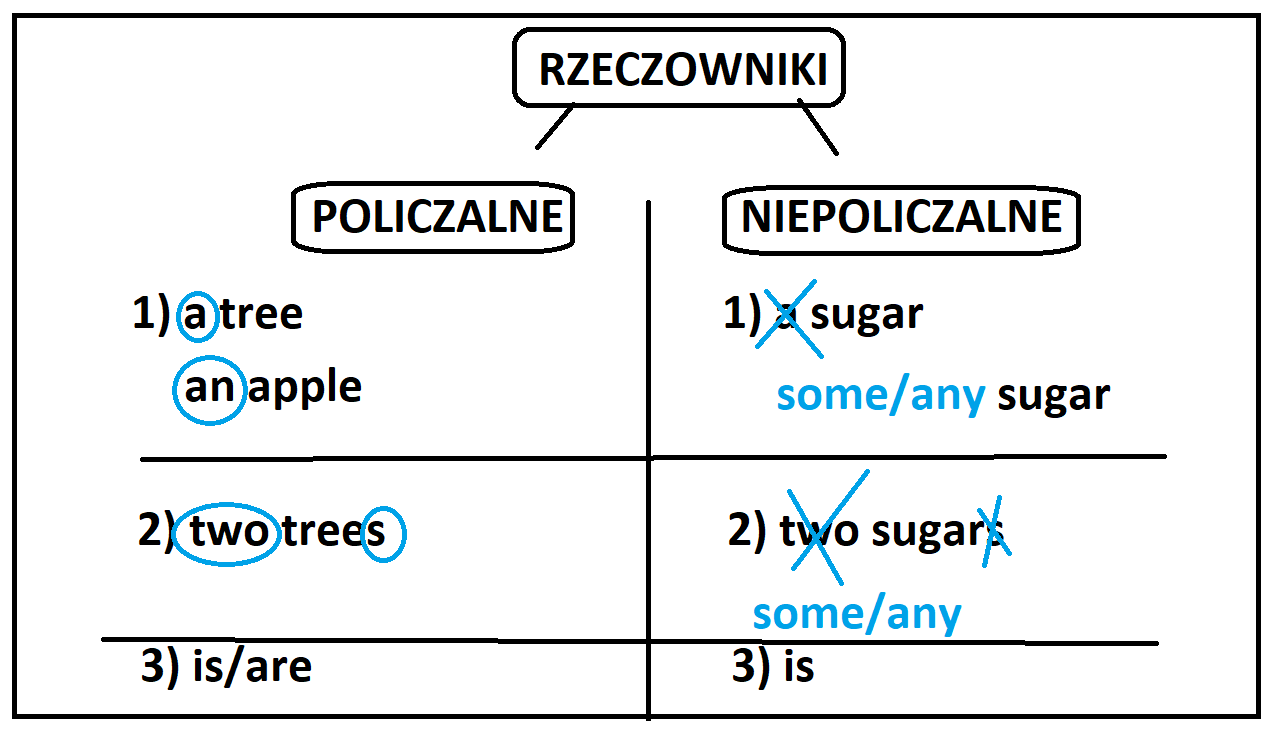 poli2 (2)